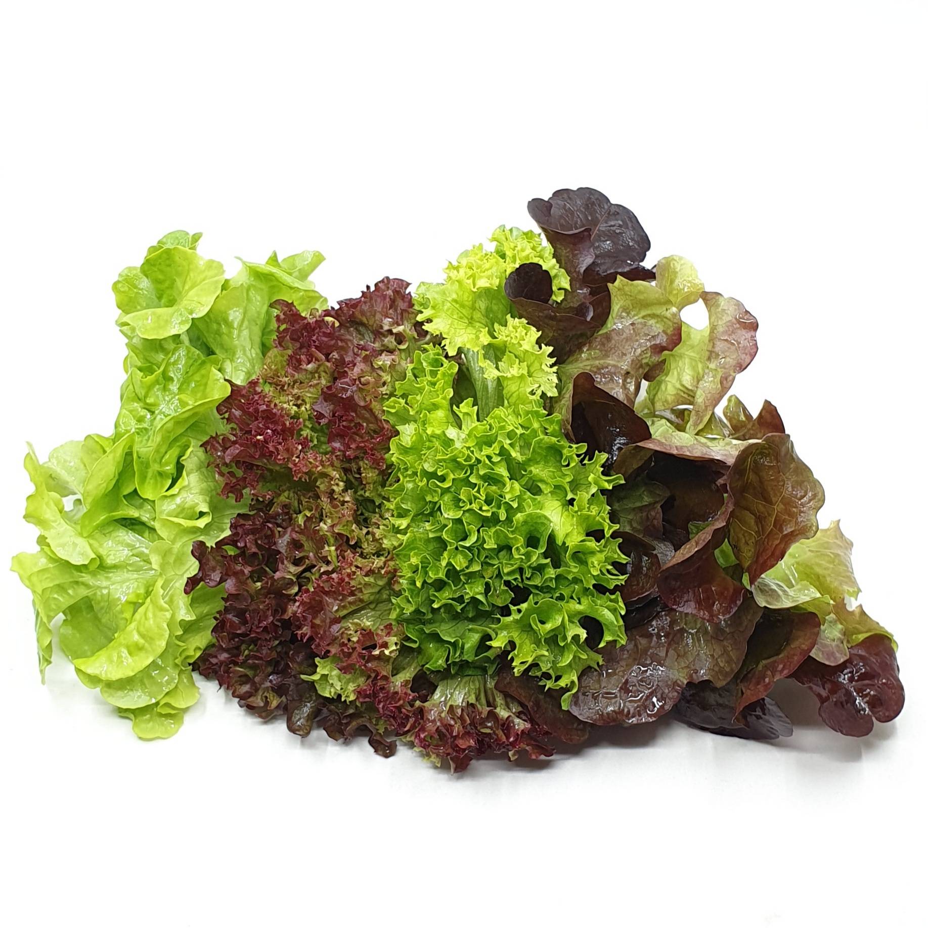 Mischsalat pro 100g